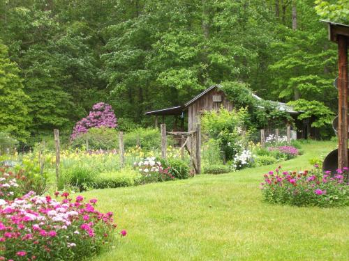 Garden of Eden Cabins in Cosby, USA