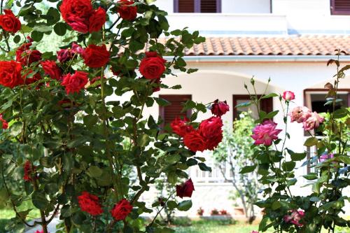 Haus Magnolia – Tar-Vabriga, IA