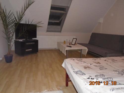 Micófogadó - image 3