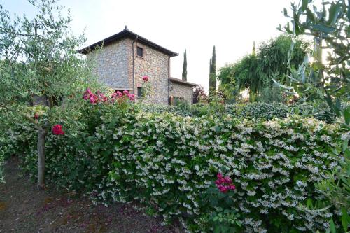 Agriturismo Dolce Verde - image 13