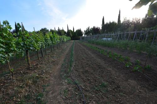 Agriturismo Dolce Verde