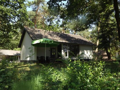  Vosseven 32 Geelgors in Stramproy