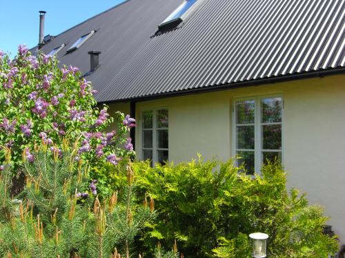 Ängshyddan B&B - main image