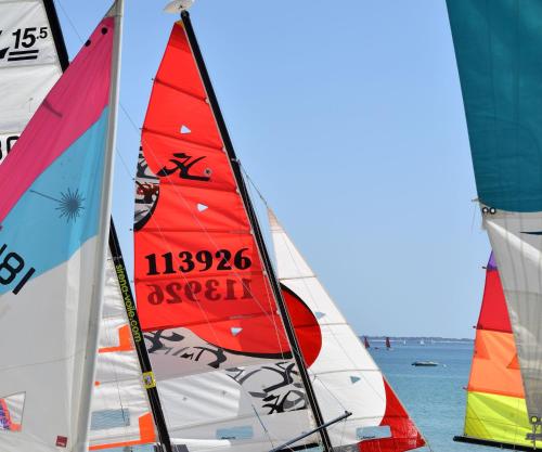 Logis Hôtel de la Pointe du Cap Coz - image 13