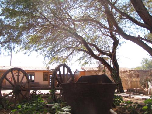 Hotel-Camping Takha Takha