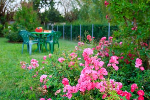  B&B Casa Guareschi, Pension in Fontanelle di Roccabianca