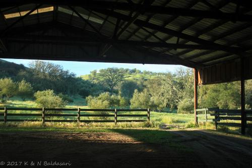 The Eden House Vineyard - image 7