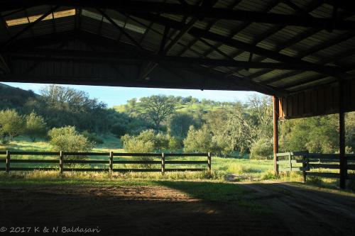 The Eden House Vineyard