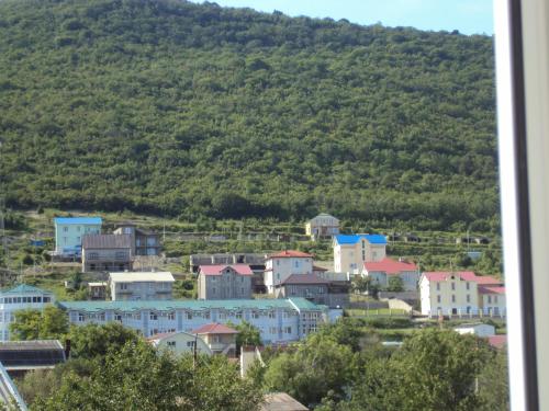 Guest House V dolinie roz