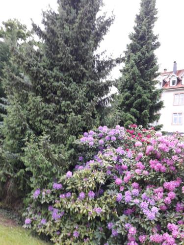 At the Turgenev Villa Apartment - image 5