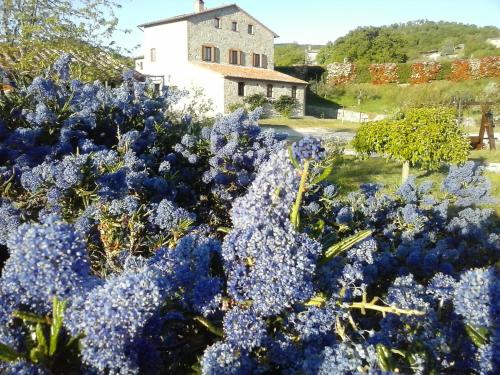 Agriturismo Valiana - image 8
