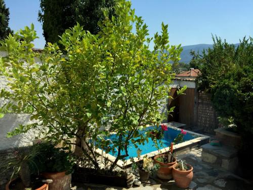 St John's House - image 2