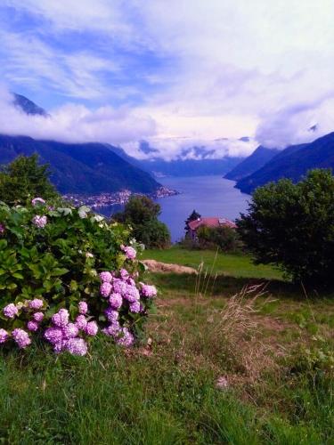  Holiday Home Liliana in Faggeto Lario 