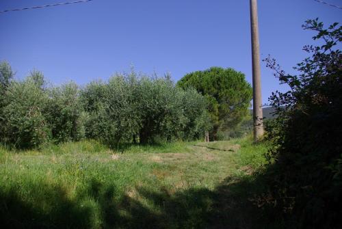 Villa Roccaccia - main image