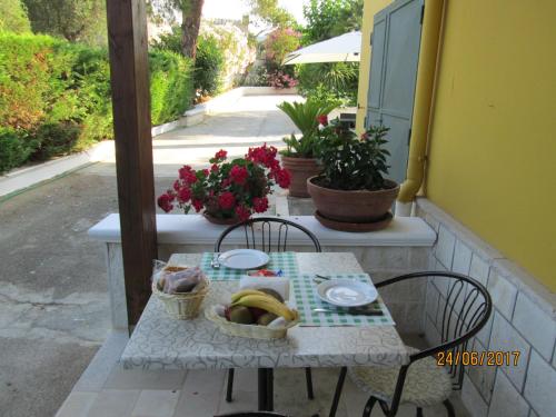 Hotel Tropical - image 11