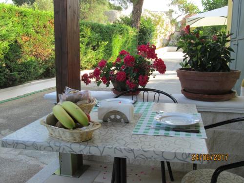 Hotel Tropical - image 7