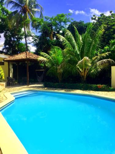 สระว่ายน้ำ, Casa Inti Guesthouse & Lodge in มานากัว