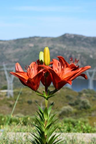 Douro Natura