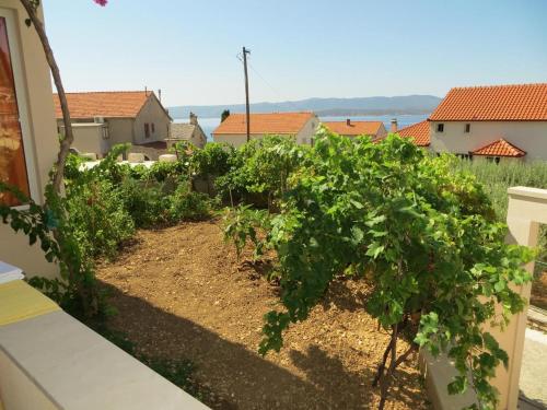 Apartments by the sea Bol Brac - 13665 - image 3