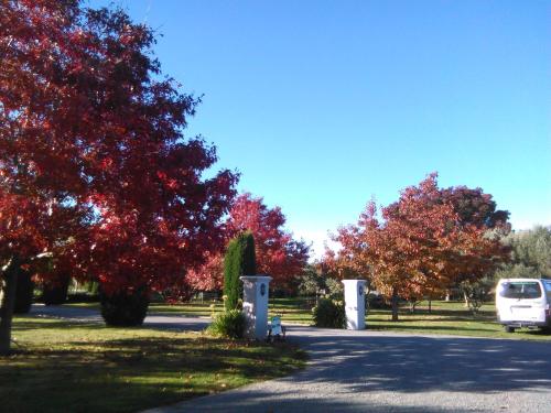 Hillsfield House Bed & Breakfast Marlborough — Photo 5