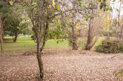 Cabañas Aguas Claras