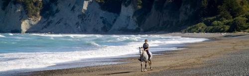 Tree House Lodge Bed & Breakfast Tree House Lodge Bed & Breakfast