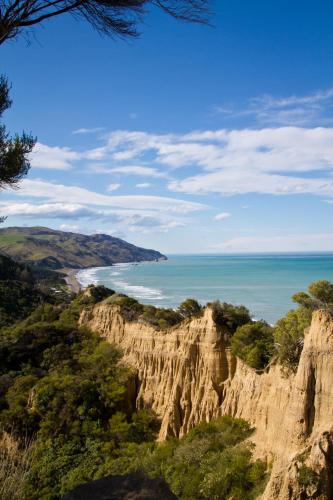 Tree House Lodge Bed & Breakfast Tree House Lodge Bed & Breakfast