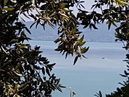 Antica casa di famiglia