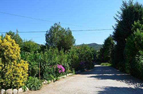 Casa Rural La Vall del Cadi