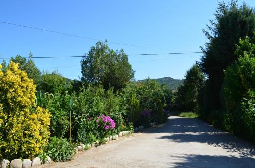 Casa Rural La Vall del Cadi - image 14