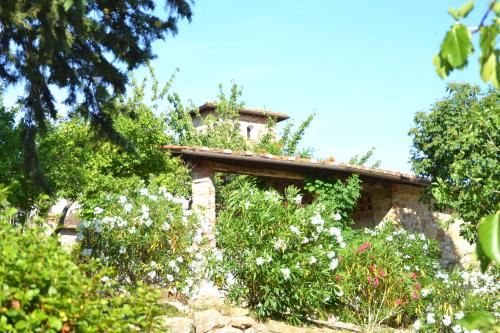 Podere Vignola - image 2