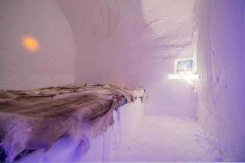 Sorrisniva Igloo Hotel