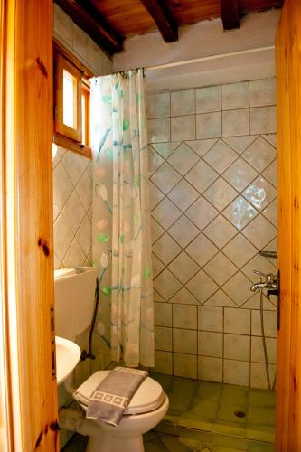 Camelia studios - image 7