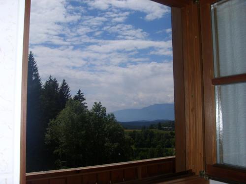 Single Room with Mountain View