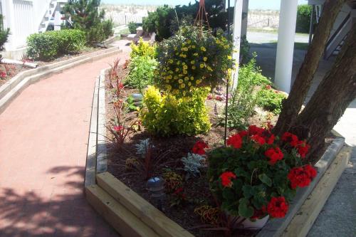 Adams Ocean Front Resort – Dewey Beach, DE