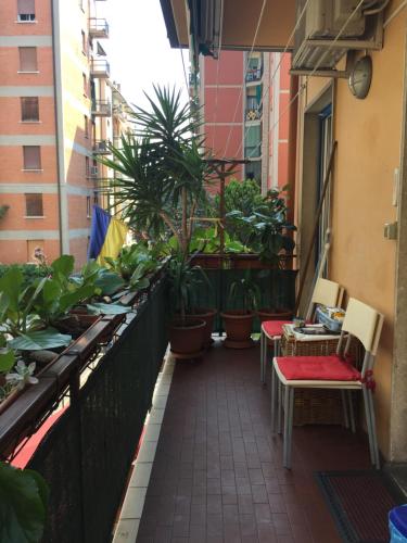 locazione turistica Sole, Vérone (photo 8)
