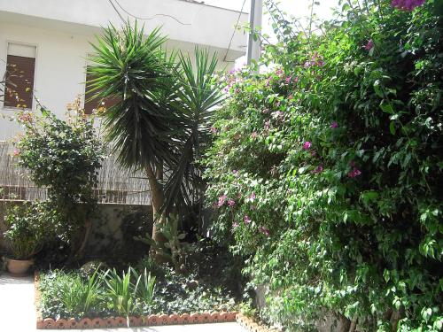 Etna Inn - image 7