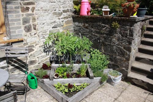 Kilátás, Lesse matinal in Redu