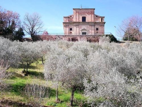 Agriturismo Etico Le Grazie - main image