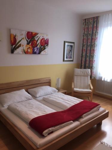 Hotel Pension Alte Mühle - image 5