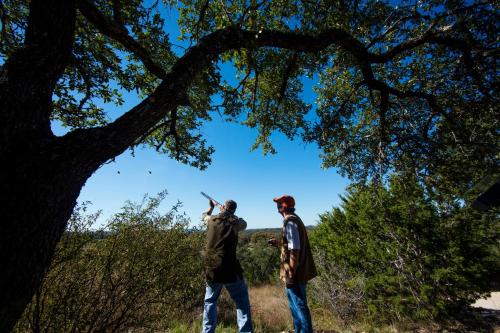 Joshua Creek Ranch - image 3