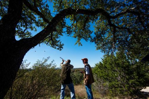 Joshua Creek Ranch