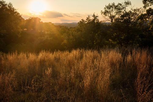 Joshua Creek Ranch