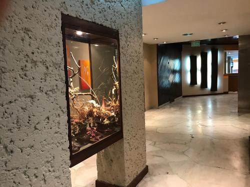 Foto - Luz y Fuerza - All Inclusive