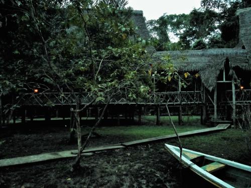 Jungle Wolf Expeditions Lodge & Tours Iquitos in Yucuruche