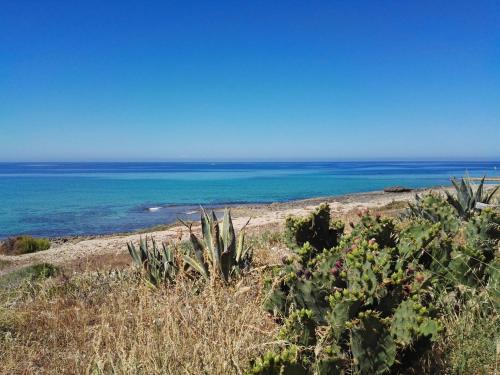 A Hotel Com Il Profumo Del Mare Pensione Marina Di Mancaversa Italia Prezzo Recensioni Prenotazione Contatto