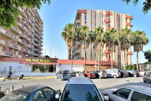Estudio Minerva 241