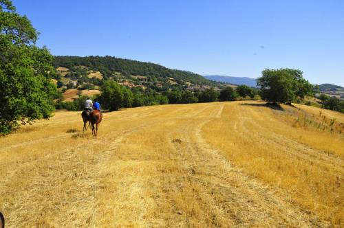 Country House Poggio Aione - image 12