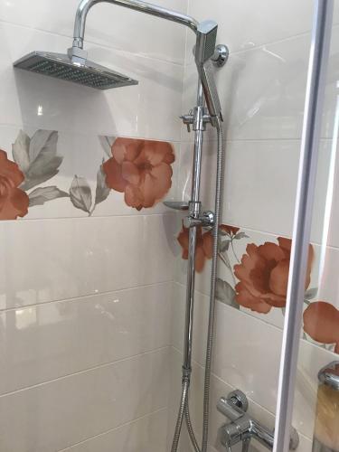 ฝักบัว, Pula Antic Rooms in Center in พูลา