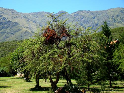 Cabañas Cerros del Sol